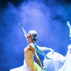 20250205 2011 IF 0782