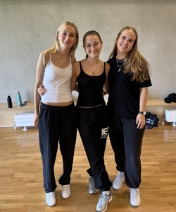 IMG 4523