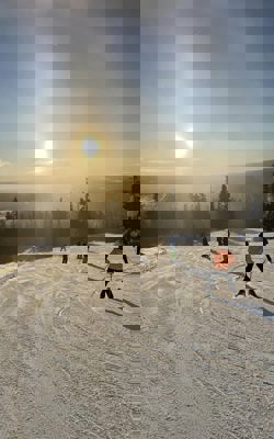 328777894 1185294985463621 5574458959220601623 N