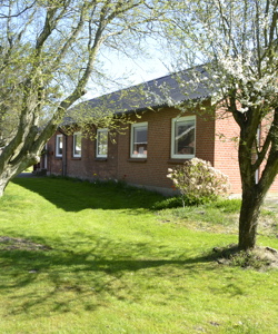 DSC3434