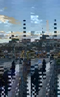 308508082 524105739724050 2772100416546779467 N