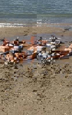 101549571 10151422523054995 7223272425000009728 N