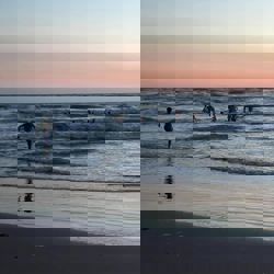355488171 744312651036690 205899927462518651 N