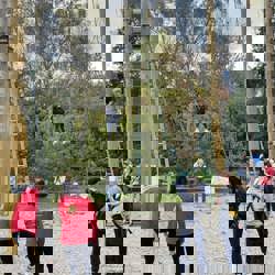 310658651 526230156178275 6944999584666356822 N