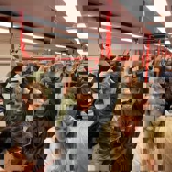 308845579 524106136390677 270622187230010961 N